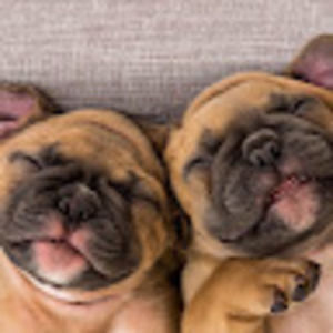 Meet your Posher, Cathrina